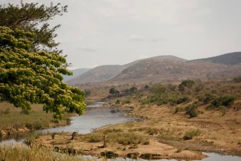 Crocodile River Landscape Stock Photos