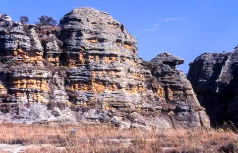 Crocodile Rock Stock Photos