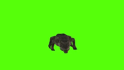 Crocodile Running Green Screen Animation 4k Rendering Stock Footage 296980321
