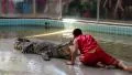 Crocodile show in Pattaya, Thailand HD Footage