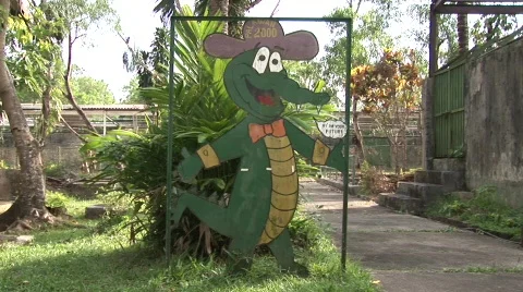 Crocodile sign 2 Stock Footage 501859