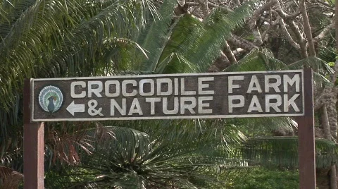 Crocodile sign Stock Footage 501858