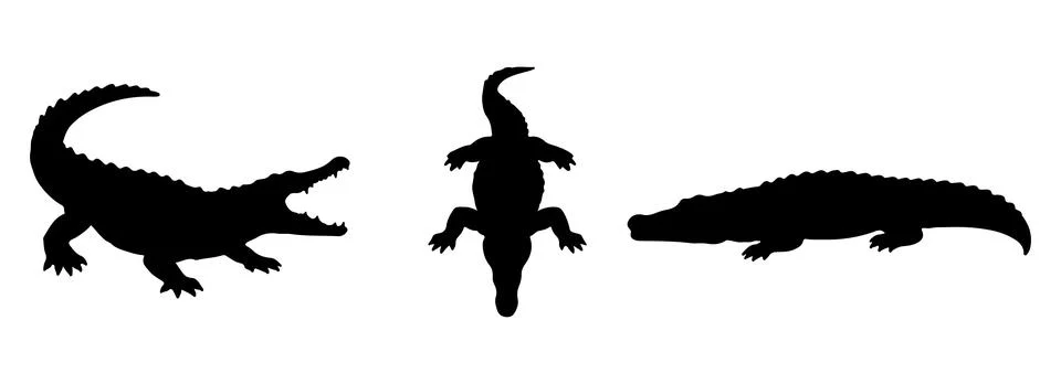 Crocodile silhouette in different poses Stock Illustration