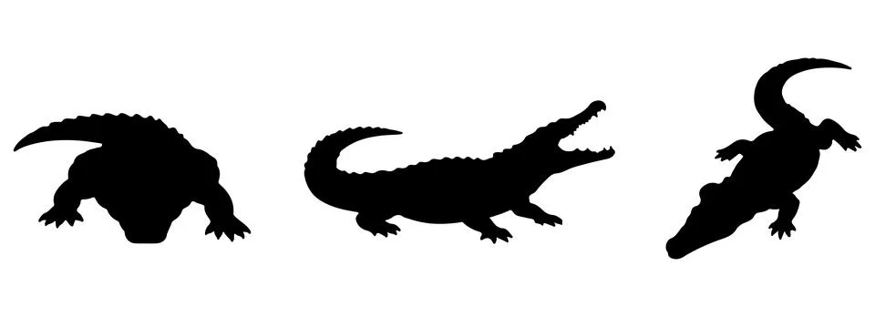 Crocodile silhouette in different poses Stock Illustration