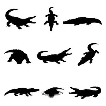 Crocodile silhouette in different poses Stock Illustration