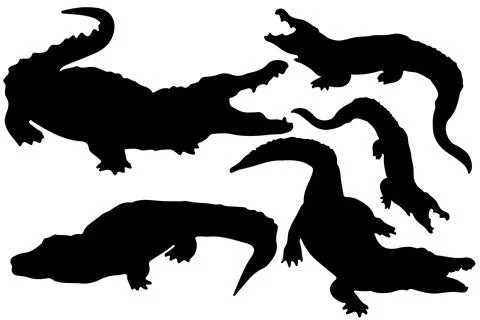 Crocodile silhouette vector for websites, graphics related artwork Stock Illustration