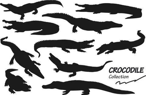 Crocodile silhouettes Stock Illustration