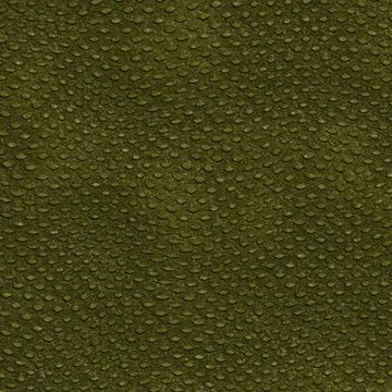 Crocodile Skin Stock Illustration