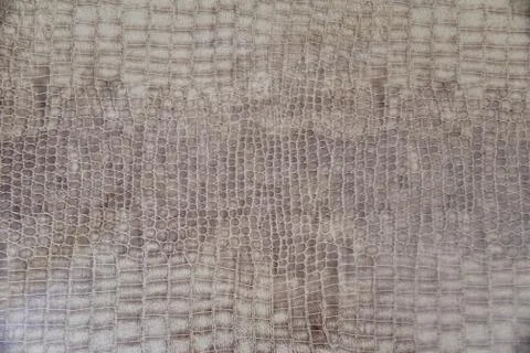 Crocodile skin pattern. Elegant crocodile leather texture background Stock Photos