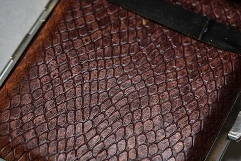 Crocodile skin pattern on the layer Stock Photos