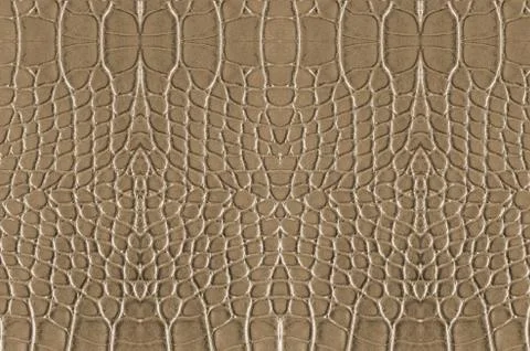 Crocodile skin Stock Photos