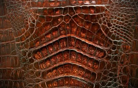 Crocodile skin texture background. Foto stock
