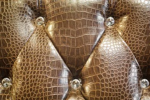 Crocodile skin texture dramatic light Stock Photos