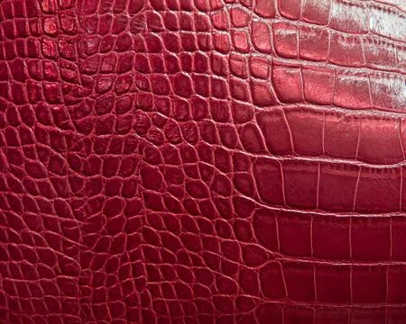 Crocodile skin texture Stock Photos