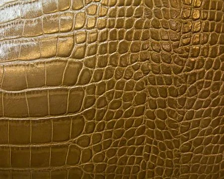 Crocodile skin texture Stock Photos