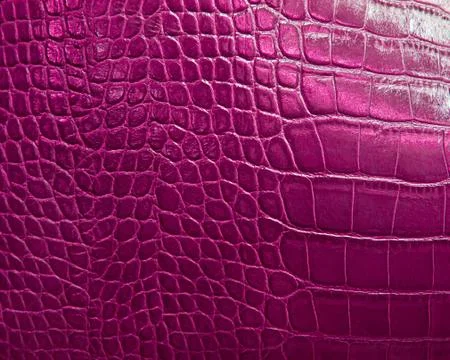 Crocodile skin texture Stock Photos