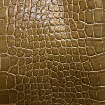 Crocodile skin texture Stock Photos