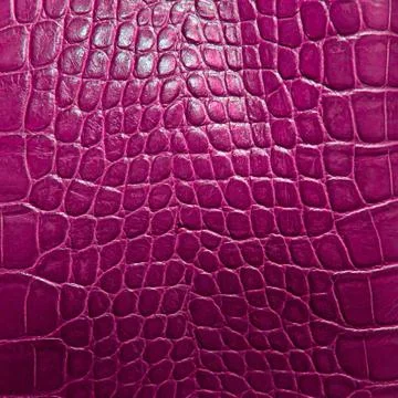 Crocodile skin texture Stock Photos