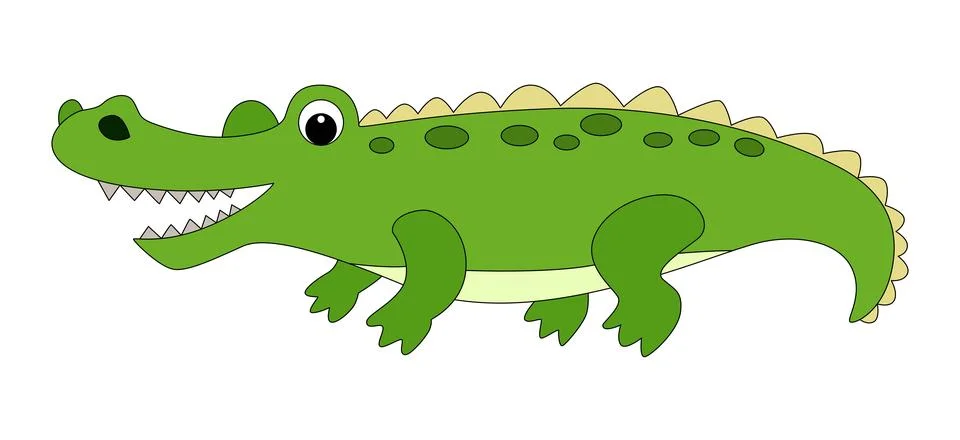 A crocodile smiling on a white background Stock Illustration