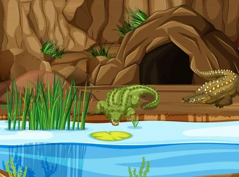 Crocodile at the swamp Stock Illustration