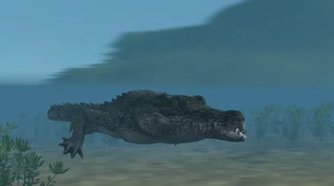 Crocodile swims under water - close up Video stock 37430498
