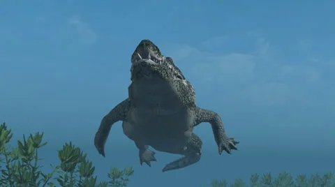 Crocodile swims under water - close up Video stock 37431258