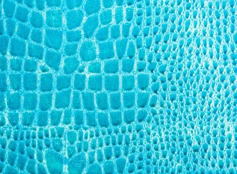Crocodile texture 스톡 사진