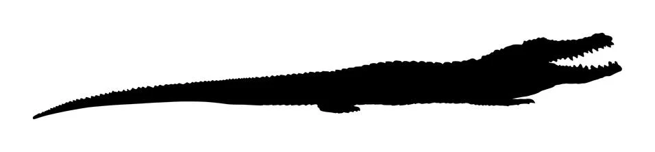 Crocodile vector silhouette isolated on white background. Alligator Stock Illustration