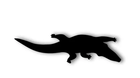 CROCODILE WALK Stock Footage 4490009