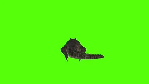Crocodile Walking Green Screen Animation 4k Rendering Stock Footage 296980489