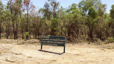 Crocodile warning sign Cape York Australia Stock Footage 332639775