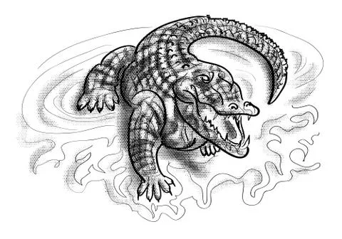 Crocodile in the water Stock Illustration