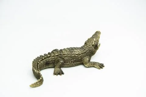 Crocodile on white background Foto stock