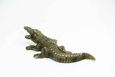Crocodile on white background Stock Photos