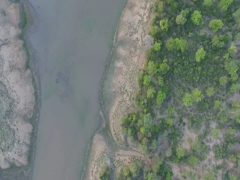 Crocodiles on the bank from the top Video stock 85331529
