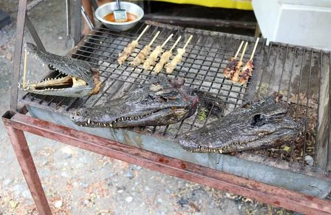 Crocodile's head on grate. Stock Photos