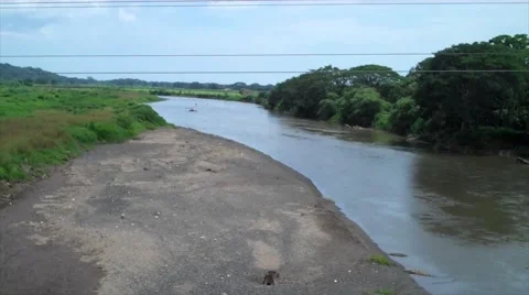 Crocodiles in Tarcoles River Stock Footage 39962459