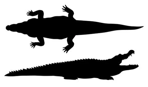 Crocodille Stock Illustration