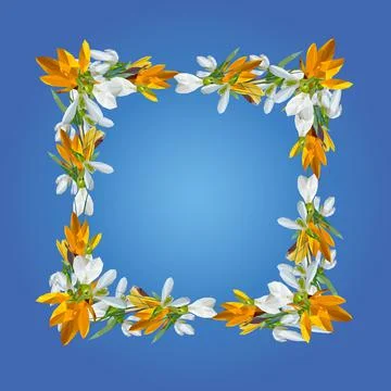 Crocus and snowdrops square frame. Natural decoration Stock Illustration