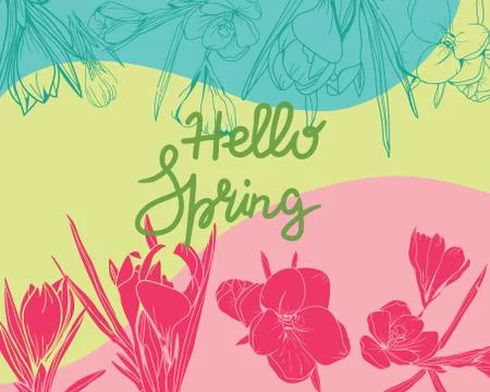 Crocus floral elements spring background. Stock Illustration