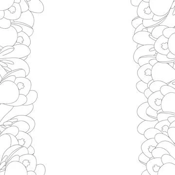 Crocus Flower Outline Border Stock Illustration