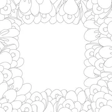Crocus Flower Outline Border Stock Illustration