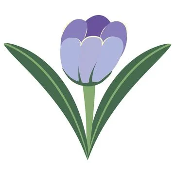 Crocus flower print Stock Illustration