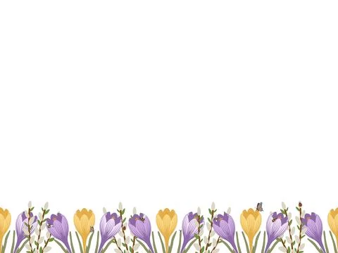 Crocus flowers border seamless spring floral background Stock Illustration