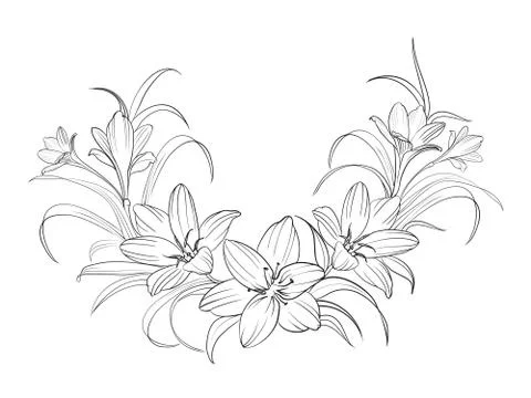 Crocus flowers. Stock Illustration