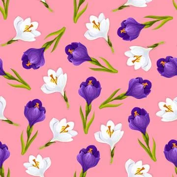 Crocus flowers seamless pattern, vector Stock Illustration