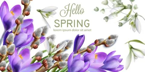 Crocus flowers Vector watercolor. Spring season delicate frame. Template desi 스톡 일러스트