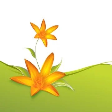Crocus spring flowers for your card design. Stock Illustration