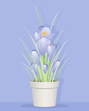 Crocuses Stock Illustration