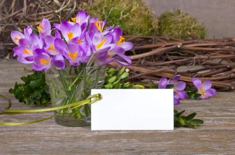 Crocuses Stock Photos